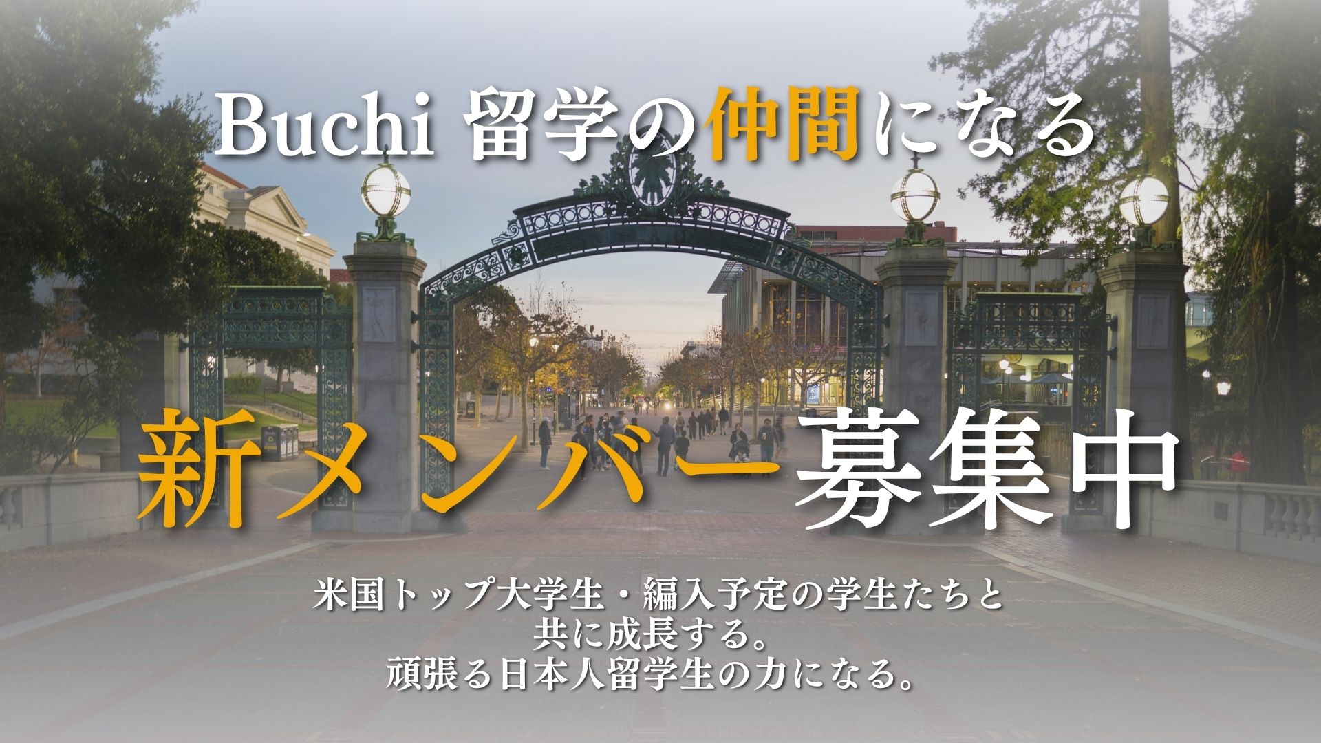 Buchi留学のメンバー募集